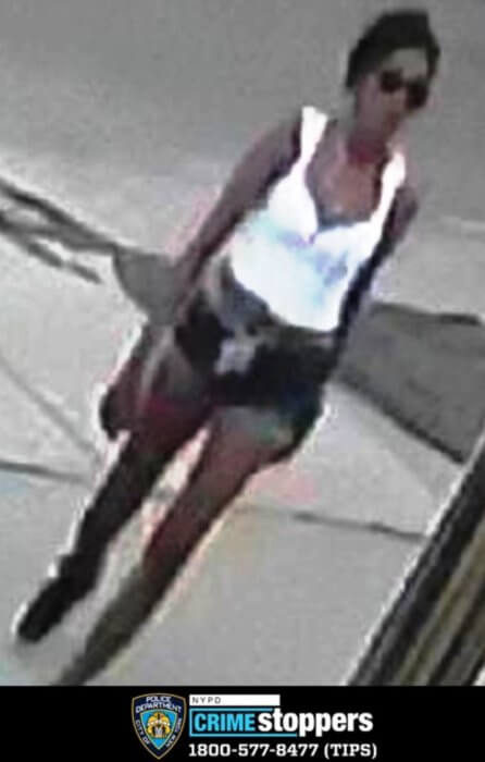 South Ozone Park robbery with gun