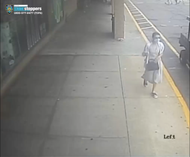 Rockaway Park pickpockets