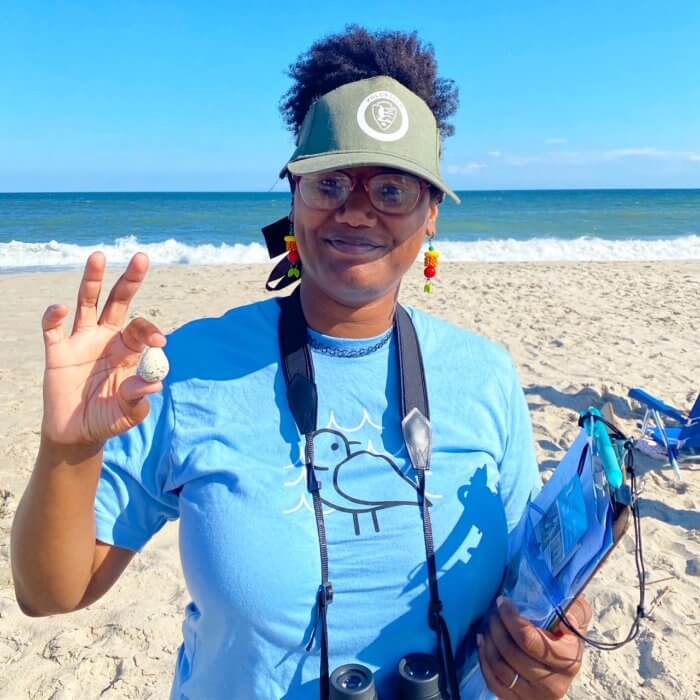 NYC Plover Project protects birds in the Rockaways