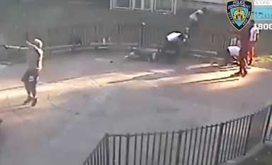 Screen-Shot-2022-08-17-at-8.59.03-AM