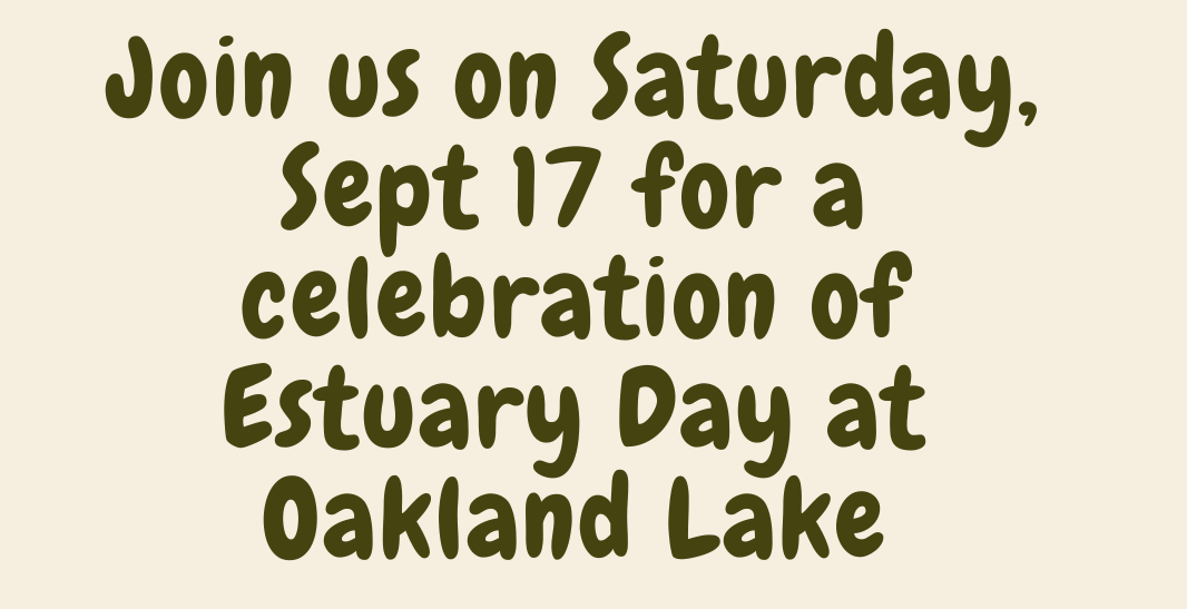 Sept-17-2022-Estuary-Day