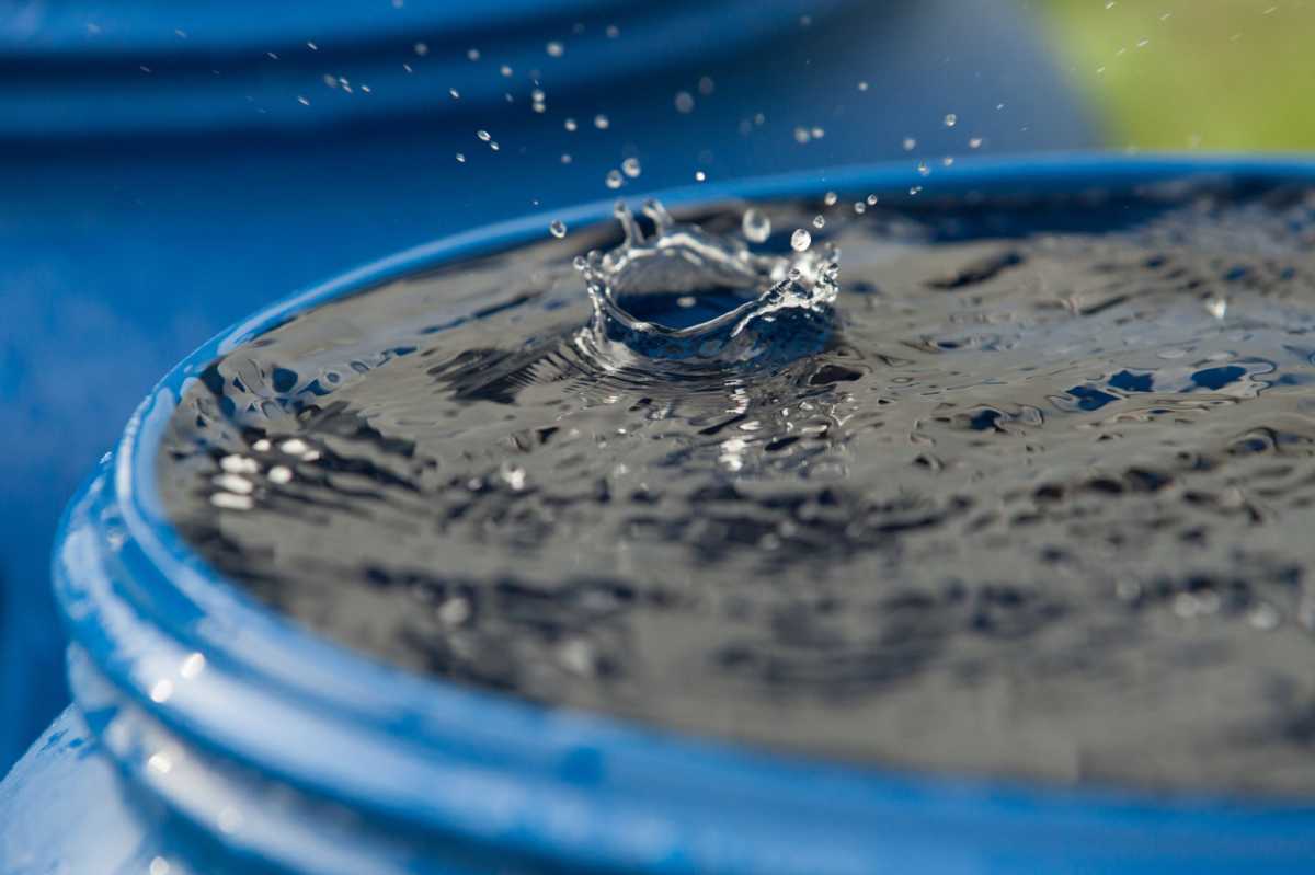 rain barrel