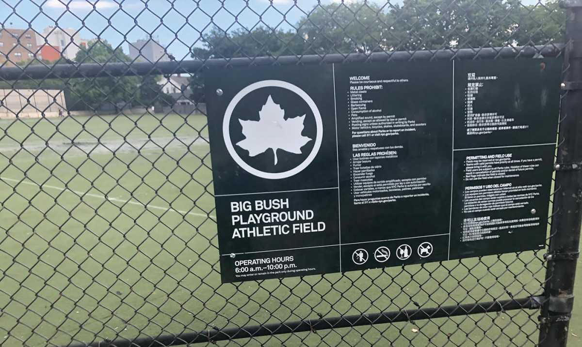 turf