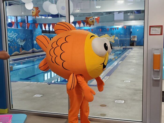 goldfish