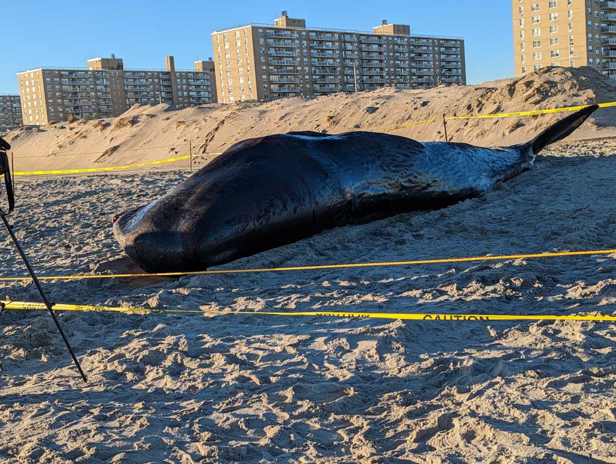 8BF057E7-6B03-4A50-8609-CD3B95421F92