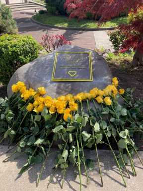 COVID roses MM