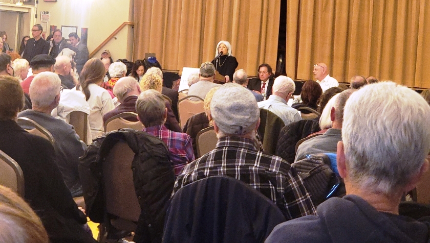 Councilwoman Vickie Paladino