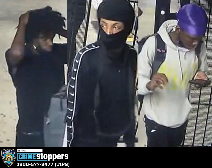 Forest Hills crooks