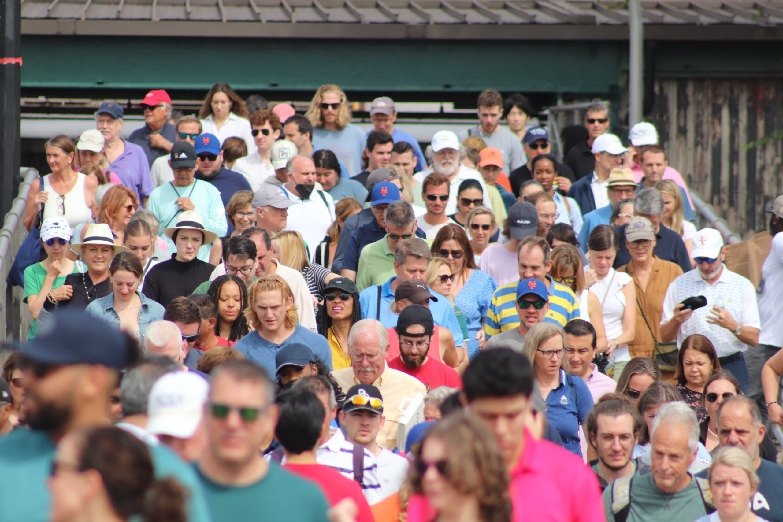 Tennis fans at the US Open (Photo: Michael Dorgan, Queens Post)