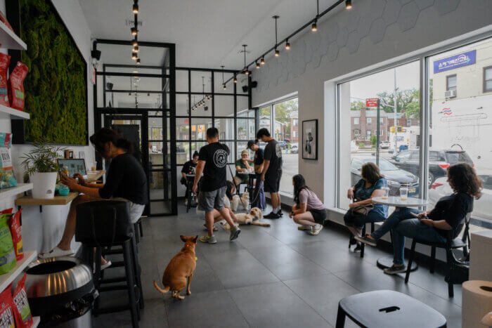 cafe