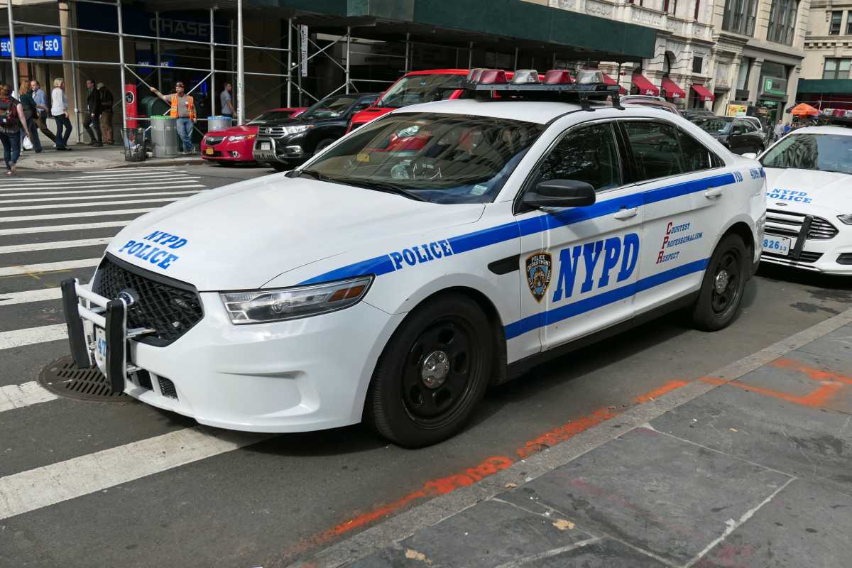 52870659181_991763d62e_5k