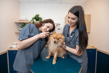clinic