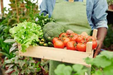 food insecurity