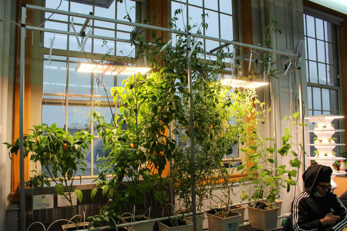 richmond hill high school