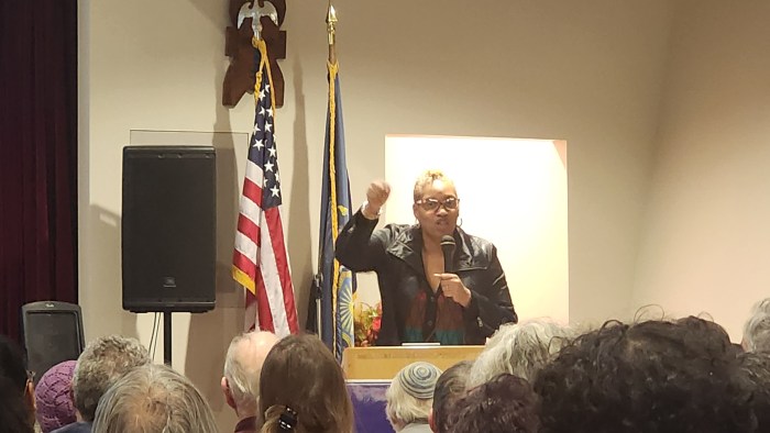 Saeeda Dunston gave an impassioned defense of Metropolitan Park on Thursday night. Photo: Shane O'Brien