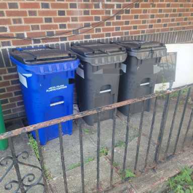 NYC bins on 103rd Avenue. Photo courtesy of Office of Council Member Joann Ariola.
