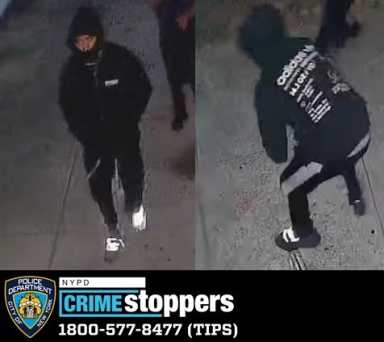 1890-23-Robbery-115-Pct-07-14-23-Photo-1