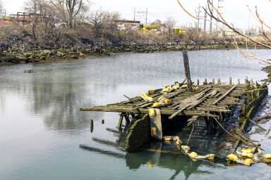steinwaycreek